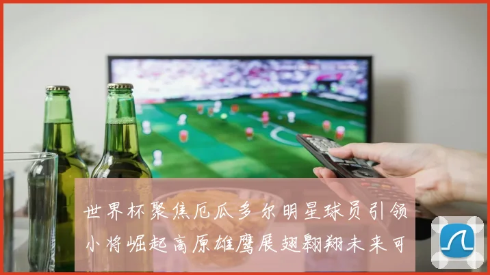 世界杯聚焦厄瓜多尔明星球员引领小将崛起高原雄鹰展翅翱翔未来可期